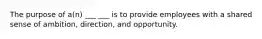 The purpose of a(n) ___ ___ is to provide employees with a shared sense of ambition, direction, and opportunity.