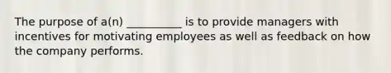 The purpose of a(n) __________ is to provide managers with incentives for motivating employees as well as feedback on how the company performs.