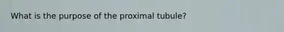 What is the purpose of the proximal tubule?