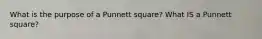 What is the purpose of a Punnett square? What IS a Punnett square?