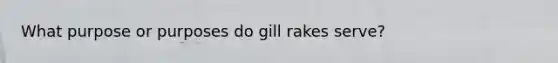 What purpose or purposes do gill rakes serve?