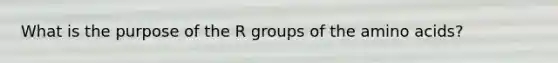 What is the purpose of the R groups of the amino acids?