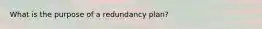 What is the purpose of a redundancy plan?