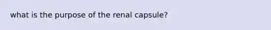 what is the purpose of the renal capsule?