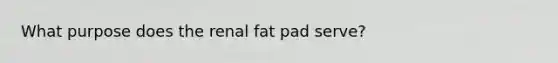 What purpose does the renal fat pad serve?