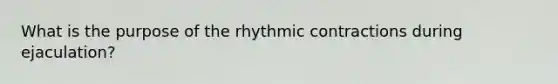 What is the purpose of the rhythmic contractions during ejaculation?