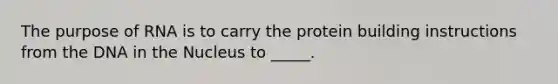 The purpose of RNA is to carry the protein building instructions from the DNA in the Nucleus to _____.