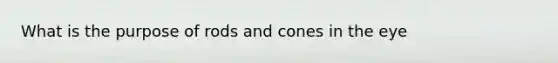 What is the purpose of rods and cones in the eye