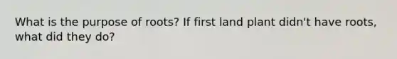 What is the purpose of roots? If first land plant didn't have roots, what did they do?