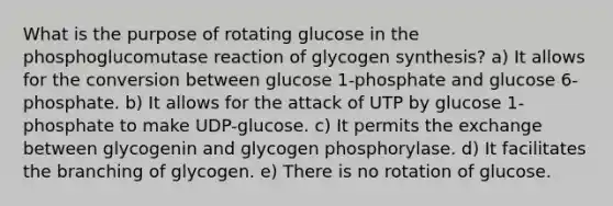 What is the purpose of rotating glucose in the phosphoglucomutase reaction of glycogen synthesis? a) It allows for the conversion between glucose 1-phosphate and glucose 6-phosphate. b) It allows for the attack of UTP by glucose 1-phosphate to make UDP-glucose. c) It permits the exchange between glycogenin and glycogen phosphorylase. d) It facilitates the branching of glycogen. e) There is no rotation of glucose.