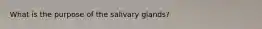 What is the purpose of the salivary glands?