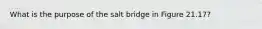 What is the purpose of the salt bridge in Figure 21.17?