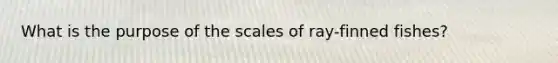 What is the purpose of the scales of ray-finned fishes?