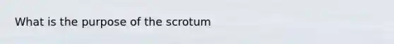 What is the purpose of the scrotum