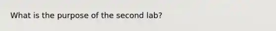 What is the purpose of the second lab?