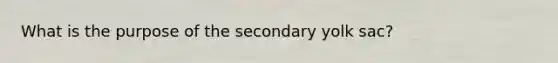 What is the purpose of the secondary yolk sac?