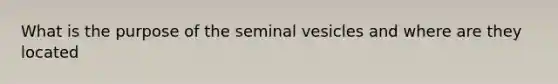 What is the purpose of the seminal vesicles and where are they located