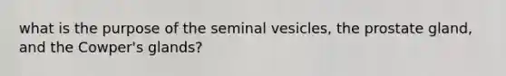 what is the purpose of the seminal vesicles, the prostate gland, and the Cowper's glands?