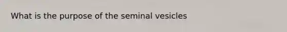 What is the purpose of the seminal vesicles