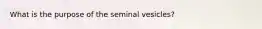 What is the purpose of the seminal vesicles?