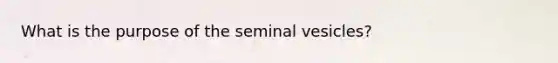 What is the purpose of the seminal vesicles?