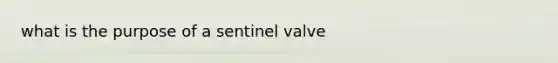 what is the purpose of a sentinel valve