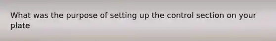 What was the purpose of setting up the control section on your plate