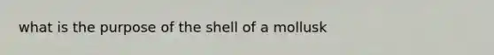 what is the purpose of the shell of a mollusk