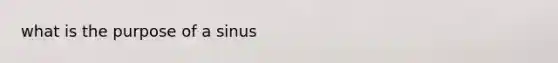 what is the purpose of a sinus