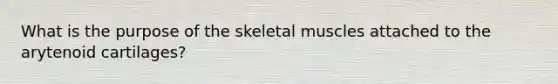 What is the purpose of the skeletal muscles attached to the arytenoid cartilages?