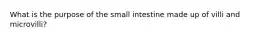 What is the purpose of the small intestine made up of villi and microvilli?