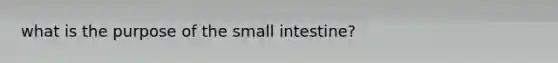 what is the purpose of the small intestine?