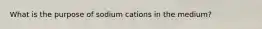 What is the purpose of sodium cations in the medium?