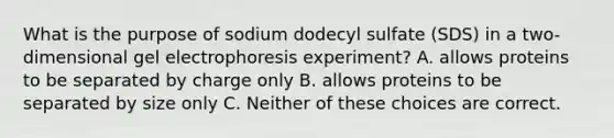 What is the purpose of sodium dodecyl sulfate (SDS) in a two-dimensional gel electrophoresis experiment? A. allows proteins to be separated by charge only B. allows proteins to be separated by size only C. Neither of these choices are correct.