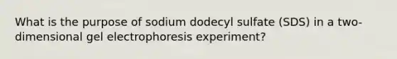 What is the purpose of sodium dodecyl sulfate (SDS) in a two-dimensional gel electrophoresis experiment?