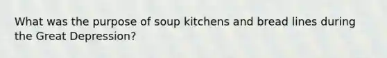 What was the purpose of soup kitchens and bread lines during the Great Depression?