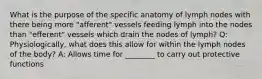 What is the purpose of the specific anatomy of lymph nodes with there being more "afferent" vessels feeding lymph into the nodes than "efferent" vessels which drain the nodes of lymph? Q: Physiologically, what does this allow for within the lymph nodes of the body? A: Allows time for ________ to carry out protective functions