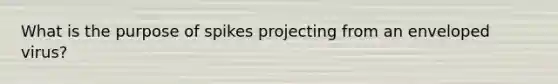 What is the purpose of spikes projecting from an enveloped virus?