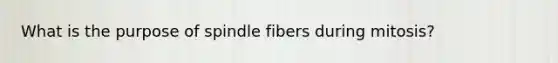 What is the purpose of spindle fibers during mitosis?