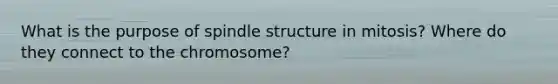 What is the purpose of spindle structure in mitosis? Where do they connect to the chromosome?