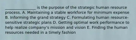 ________________ is the purpose of the strategic human resource process. A. Maintaining a stable workforce for minimum expense B. Informing the grand strategy C. Formulating human resource-sensitive strategic plans D. Getting optimal work performance to help realize company's mission and vision E. Finding the human resources needed in a timely fashion