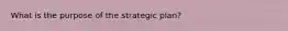 What is the purpose of the strategic plan?