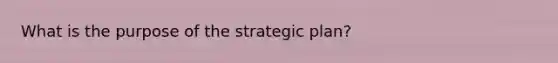 What is the purpose of the strategic plan?