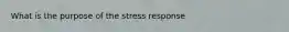 What is the purpose of the stress response