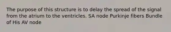 The purpose of this structure is to delay the spread of the signal from the atrium to the ventricles. SA node Purkinje fibers Bundle of His AV node