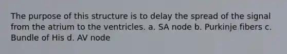The purpose of this structure is to delay the spread of the signal from the atrium to the ventricles. a. SA node b. Purkinje fibers c. Bundle of His d. AV node