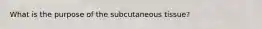 What is the purpose of the subcutaneous tissue?