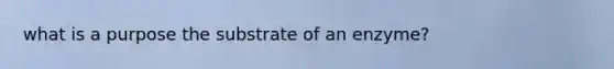 what is a purpose the substrate of an enzyme?