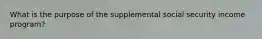 What is the purpose of the supplemental social security income program?