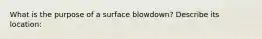 What is the purpose of a surface blowdown? Describe its location: